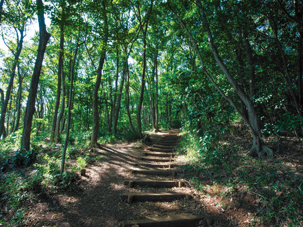 Surrounding environment. Hachikokuyama (about than local 3420m ・ Car about 5 minutes)