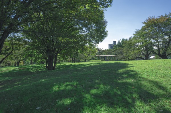 The ・ Park House Tokorozawa. (living ・ kitchen ・ bath ・ bathroom ・ toilet ・ balcony ・ terrace ・ Private garden ・ Storage, etc.)