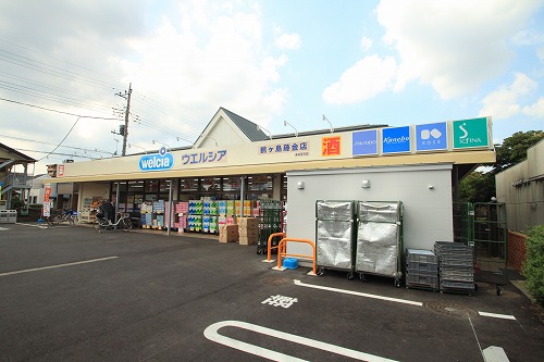 Dorakkusutoa. Uerushia Tsurugashima Fujigane shop 740m until (drugstore)