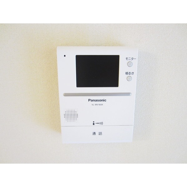 Security. TV monitor phone