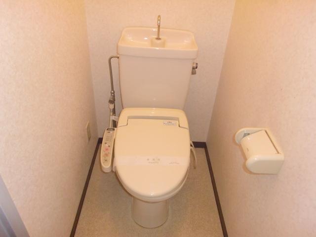 Toilet. Toilet