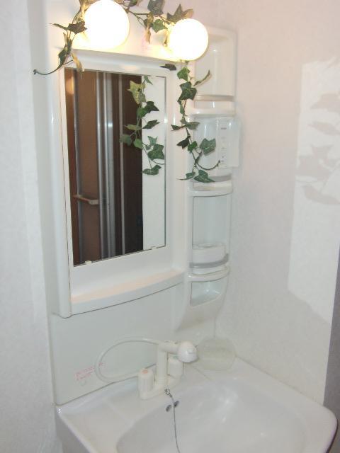 Washroom. Shampoo dresser