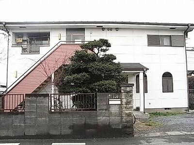 Other. This quiet living environment