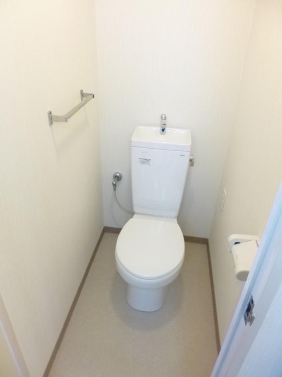 Toilet. It is beautiful and has a valuable white