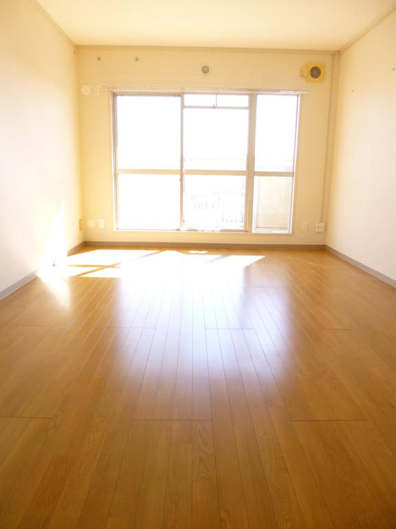 Living and room. Day is good.