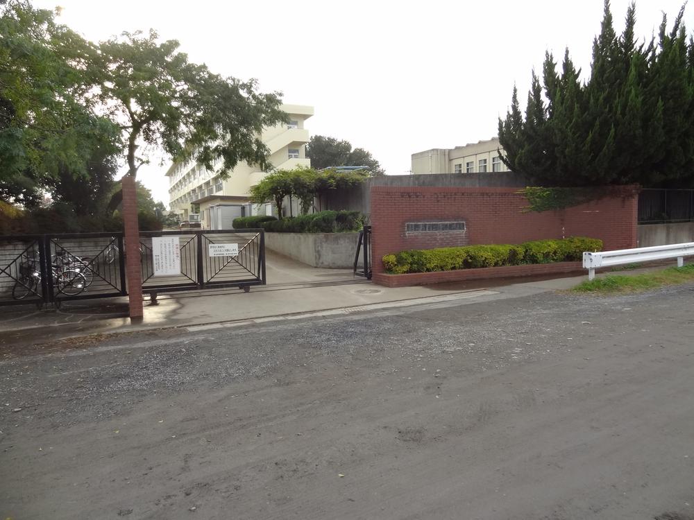 Primary school. Fuji elementary school