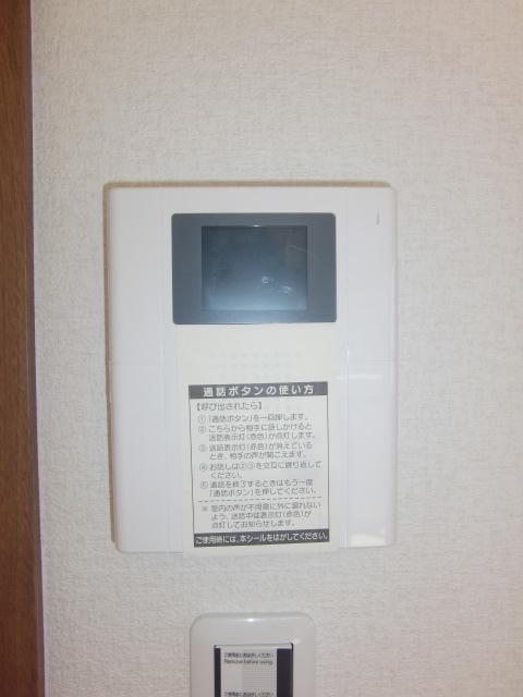 Security. TV monitor with intercom