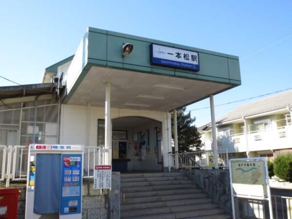 Other Environmental Photo. 320m to the nearest station (solitary pine tree)