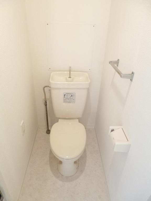 Toilet. Clean space in which the white tones