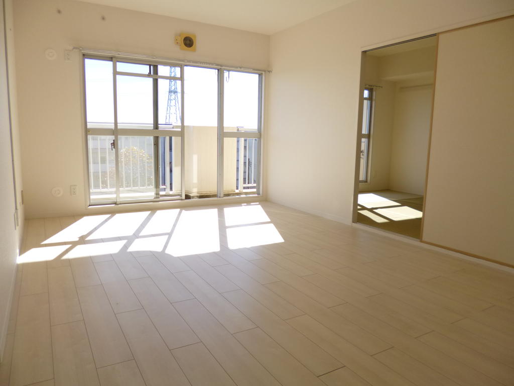 Living and room. Bright and spacious room type.