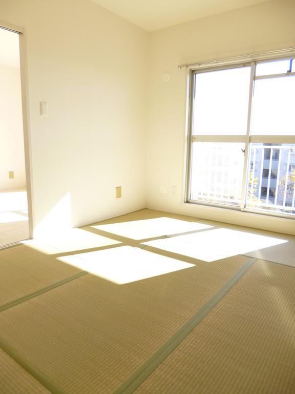 Living and room. Tatami is calm