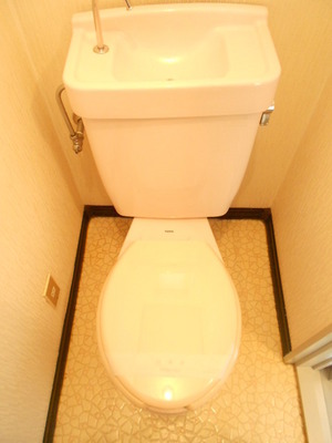 Toilet