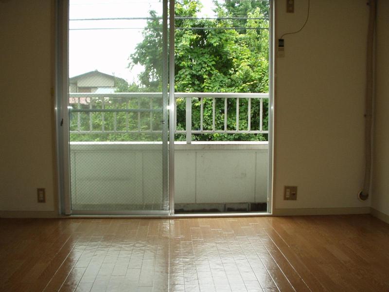 Living and room. Living room 3