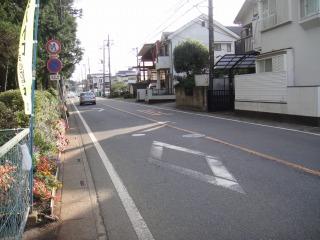 Local photos, including front road. Local (12 May 2012) shooting