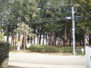 Other. Local (March 2013) Shooting