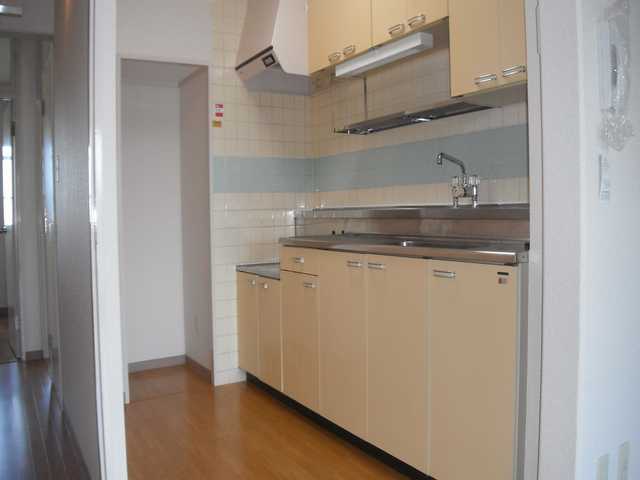 Kitchen. Two-burner gas stove can be installed. Storage is plenty