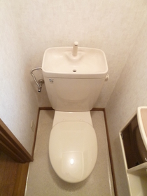Toilet. Toilet