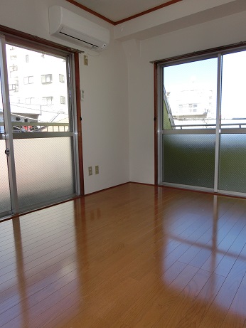 Living and room. Bright two-plane daylight