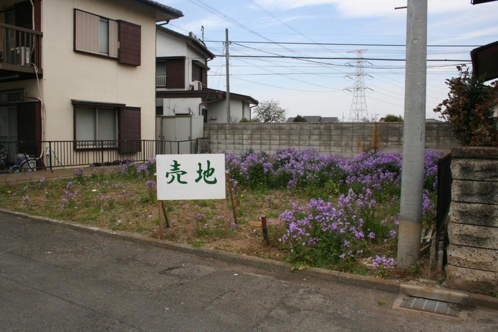 Local photos, including front road