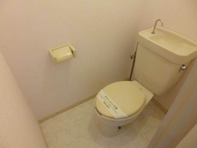 Toilet. Is a beautiful toilet in which the white tones.