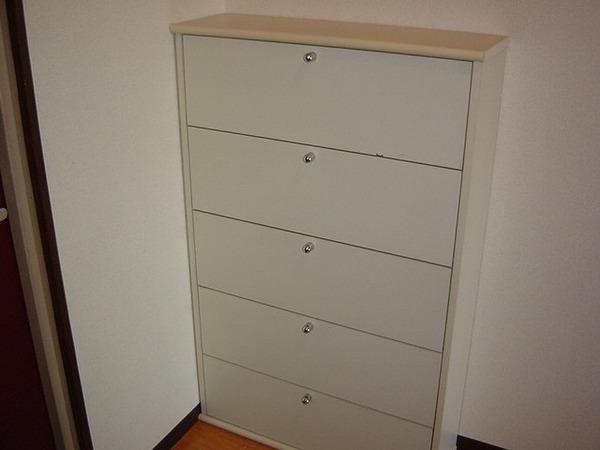 Other. Shoes is the case