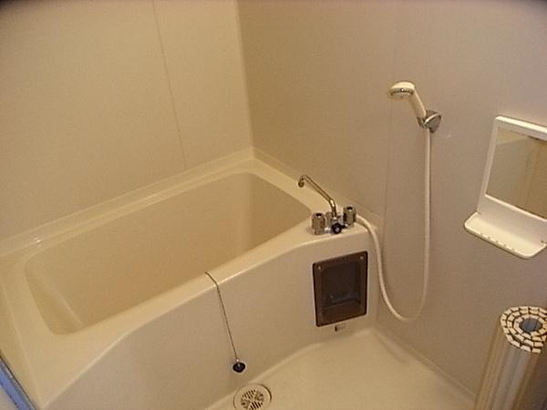 Bath. Bus of the room