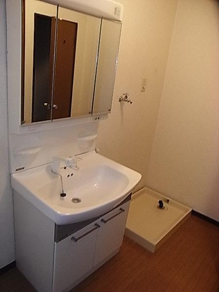 Washroom. Shampoo is Dresser