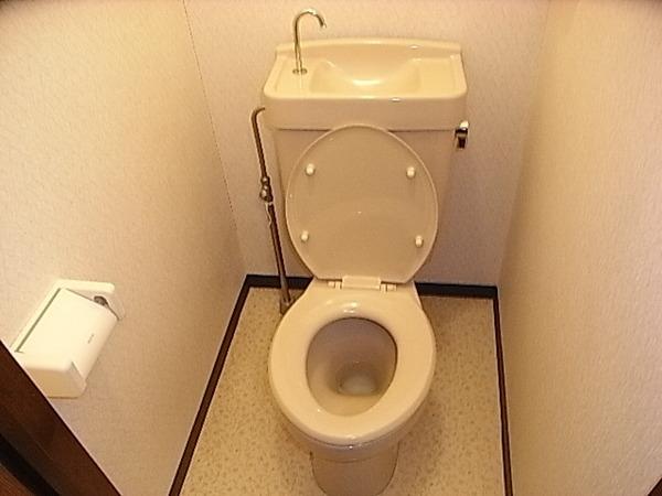 Toilet. Toilet room