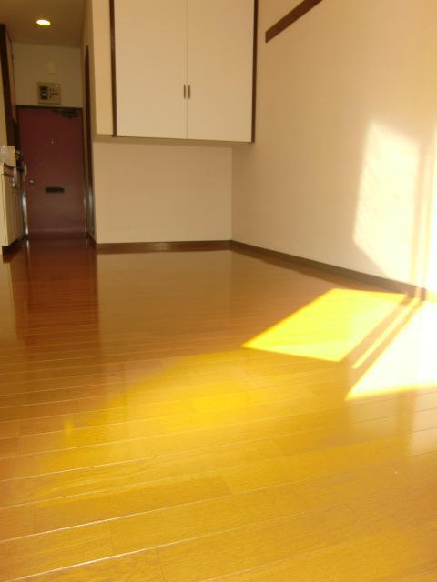 Living and room. room