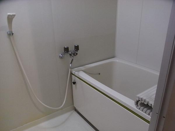 Bath. Bus of the room