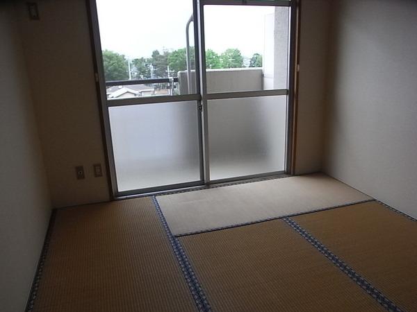 Other room space. Bright Japanese-style room