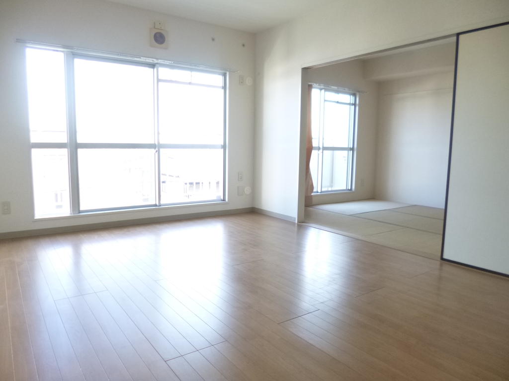 Living and room. Beautiful flooring