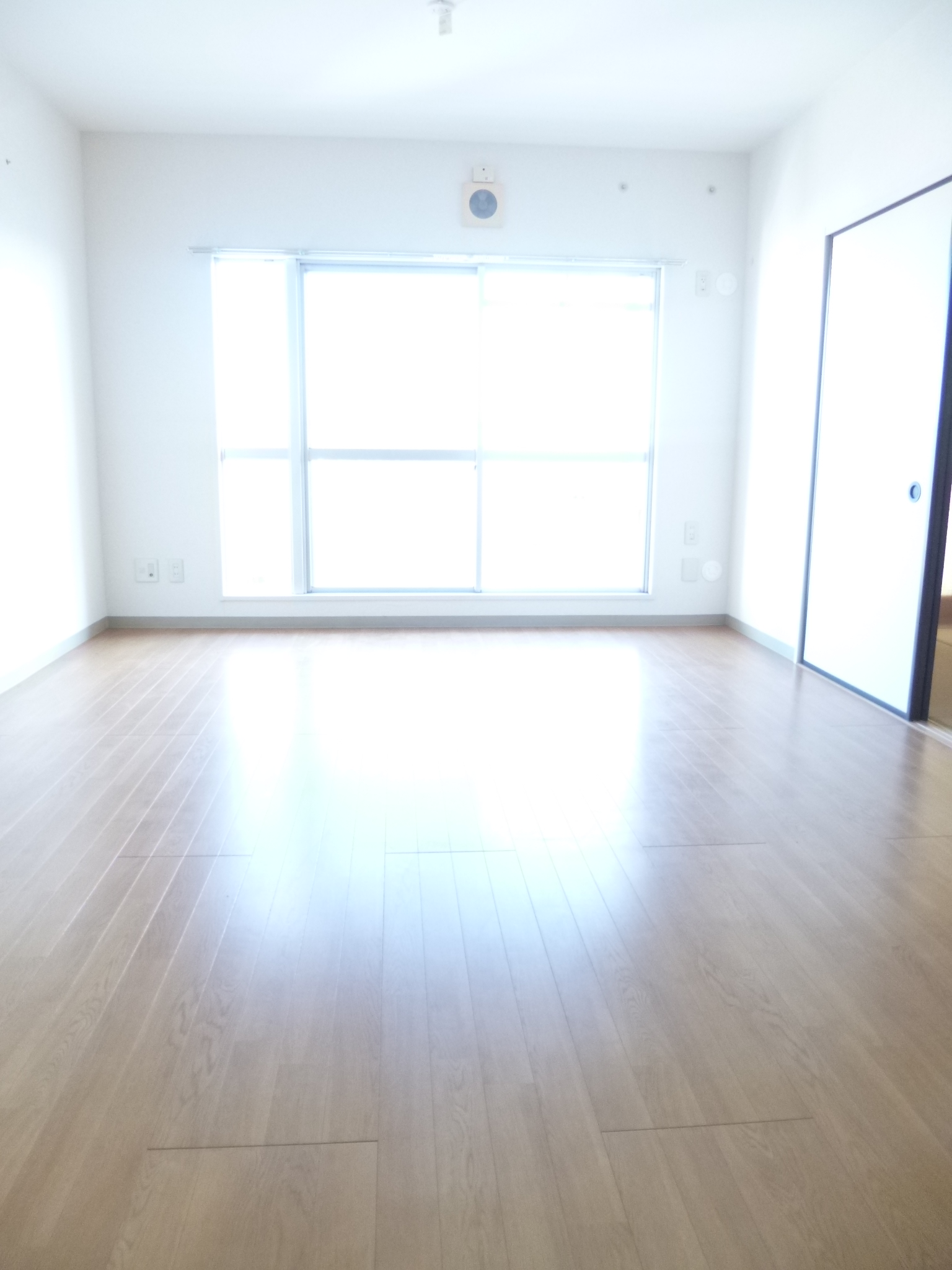 Living and room. Bright room