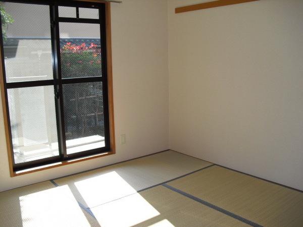 Living and room. Bright living room