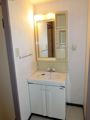 Washroom. There is vanity