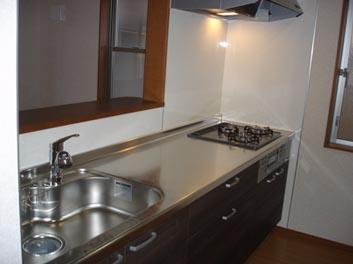 Kitchen. Indoor (11 May 2013) Shooting