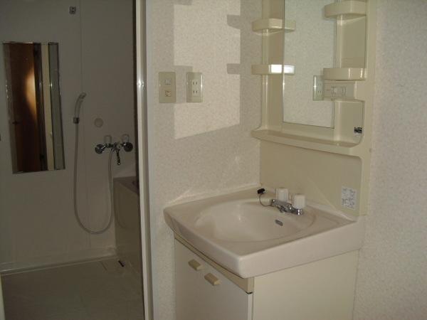 Washroom. Washroom of room