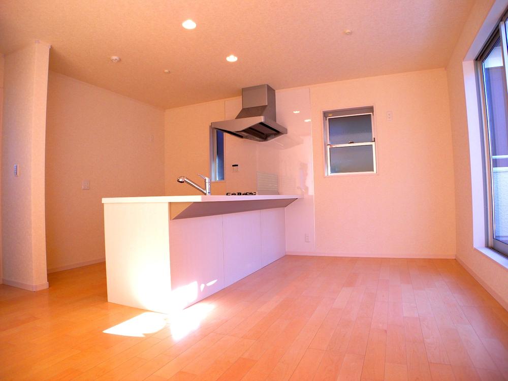 Kitchen. Indoor (11 May 2013) Shooting