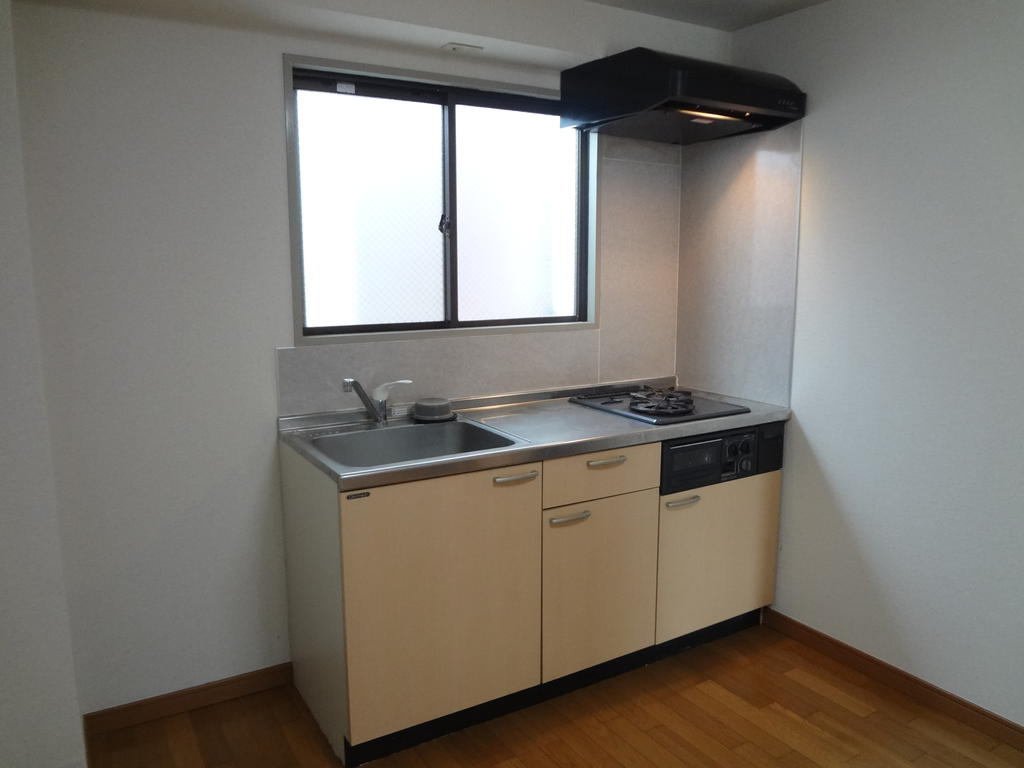 Kitchen. Stylish system Kitchen