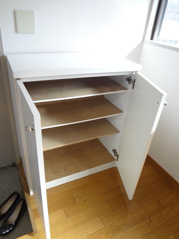 Entrance. Convenient front door storage