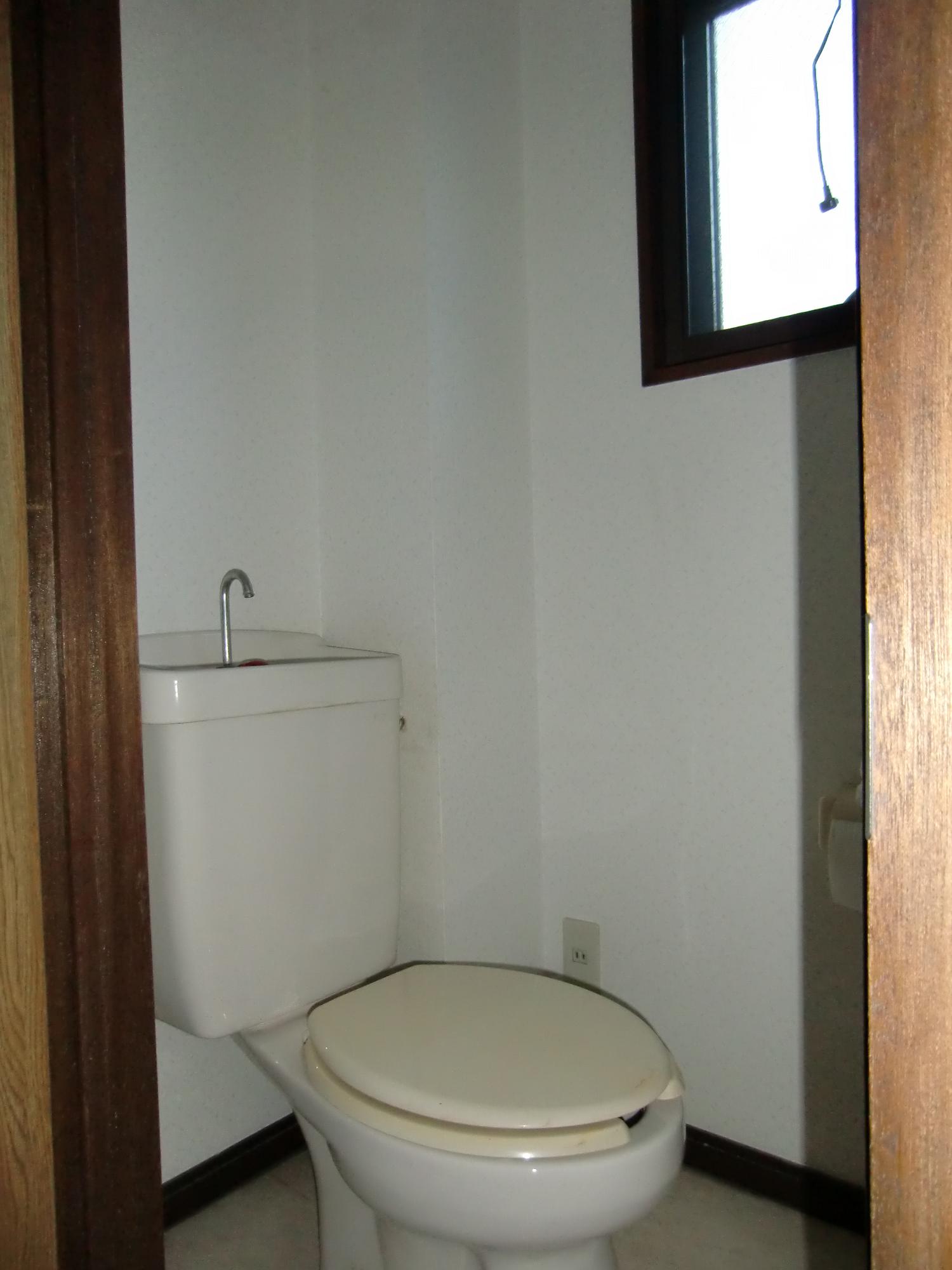 Toilet. Window with toilet