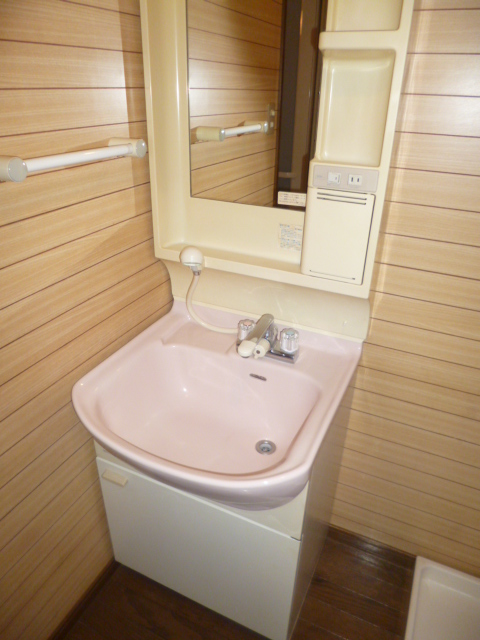 Washroom. Shampoo dresser