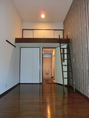 Living and room. Convenient higher ceiling of the loft.