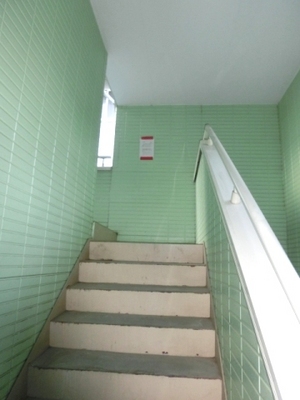 Other. Stairs to the room is with a roof