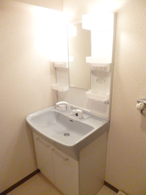 Washroom. Shampoo dresser