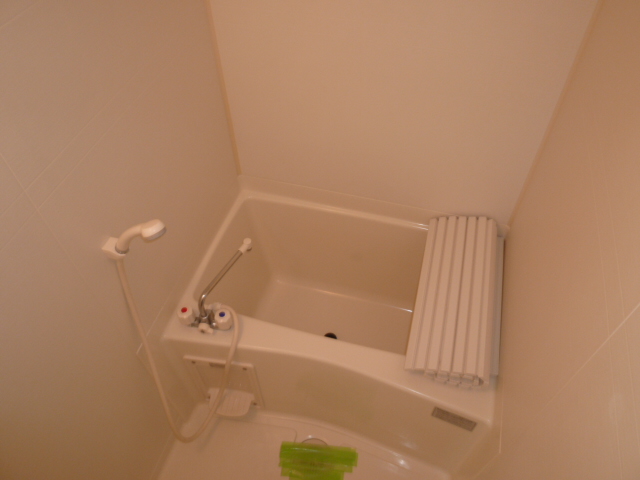 Bath. It is a photograph of another room