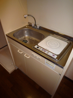 Kitchen. Easy flat type and of cleaning