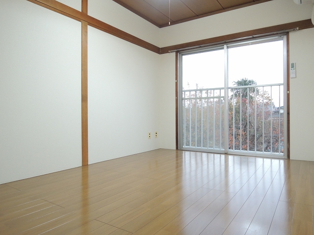 Living and room. Living