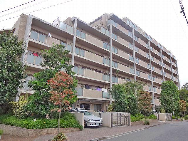 Local appearance photo. Local (10 May 2013) Shooting