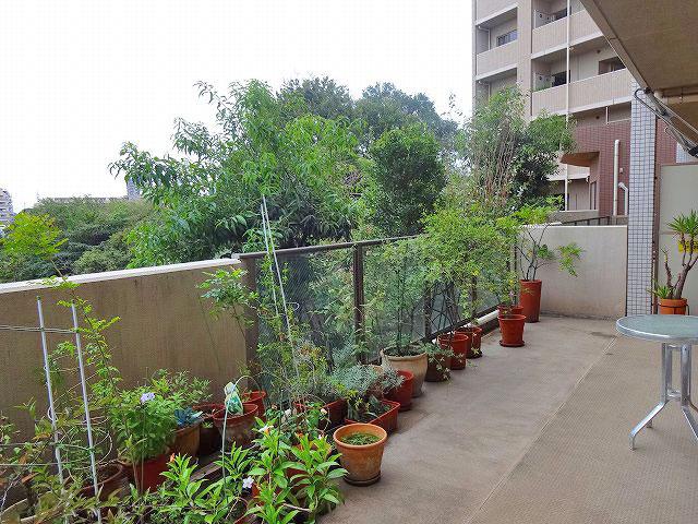 Balcony. 26.56 sq m Local (10 May 2013) Shooting